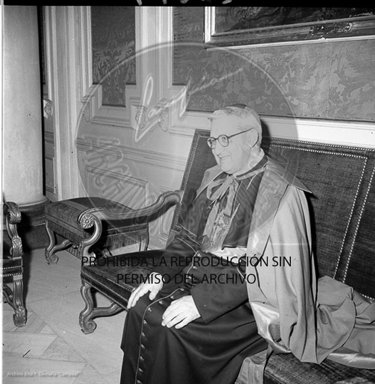Audiencia al Cardenal Laraona