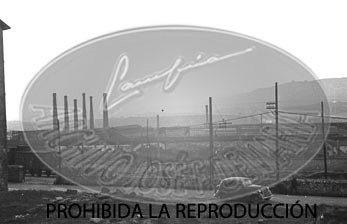 Bilbao, puentes fabrica y celebración