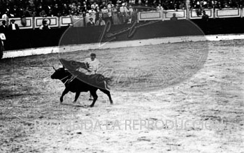 Corrida de toros en Burgos