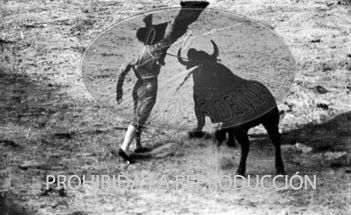 Corrida de toros en Burgos