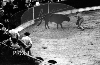 Corrida de toros en Burgos