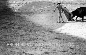 Corrida de toros en Burgos
