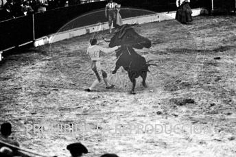 Corrida de toros en Burgos