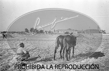 Vistas de Madrid desde Brunete y Boadilla