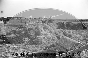Vistas de Madrid desde Brunete y Boadilla
