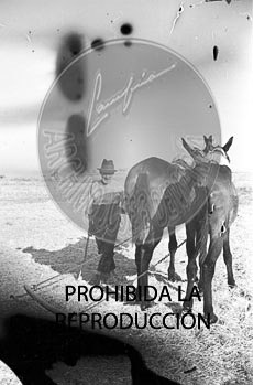 Vistas de Madrid desde Brunete y Boadilla