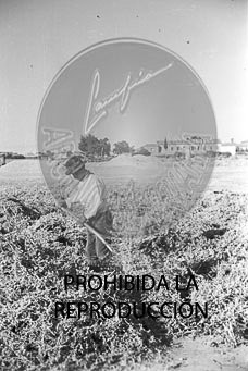 Vistas de Madrid desde Brunete y Boadilla