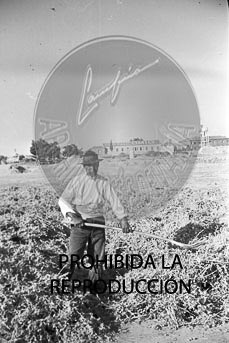 Vistas de Madrid desde Brunete y Boadilla