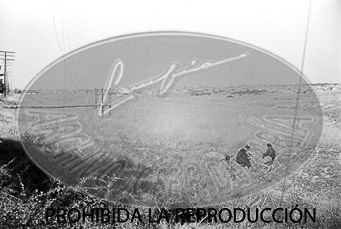 Vistas de Madrid desde Brunete y Boadilla