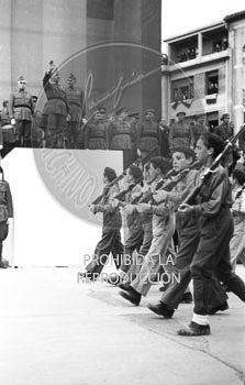 Imposición de la Cruz Laureada de San Fernando a Navarra