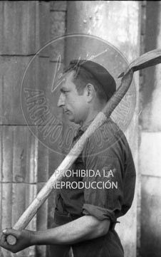 Consejo Nacional de Falange