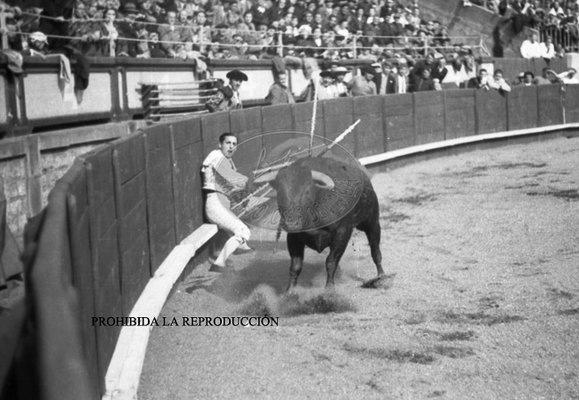 Corrida de toros benefica, 24 abril 1938