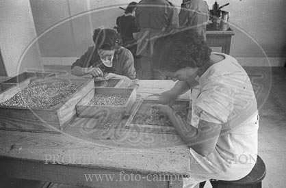Fabrica de armas de Salamanca