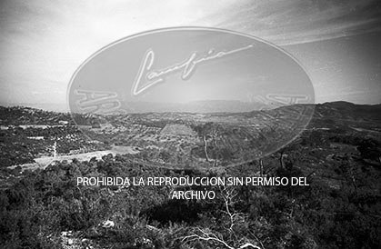 Avance en Cataluña, Pinell de Miravet