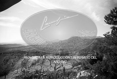 Avance en Cataluña, Pinell de Miravet