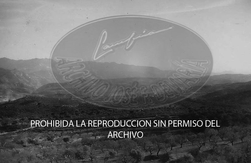 Avance en Cataluña, Pinell de Miravet