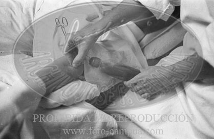 Donaciones de sangre para los hospitales de campaña