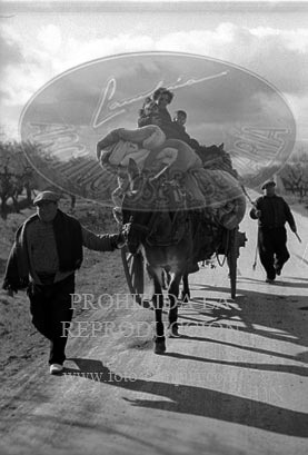 Frente de Cataluña, Puesto de mando del General Davila