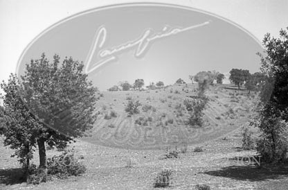 Hospital de Leganes. Avance hacia Madrid por Leganes