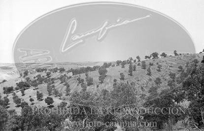 Hospital de Leganes. Avance hacia Madrid por Leganes