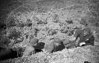 Bateria anti aerea alemana 8x8