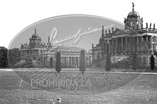 Junio 1939, las calles de Berlín