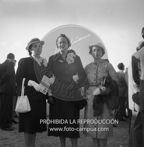 Concurso hípico en la Casa de Campo de Madrid
