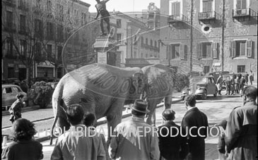 Elefantes del circo Price