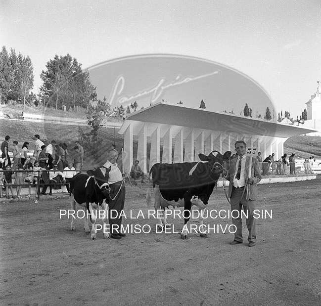 Feria del Campo 1968