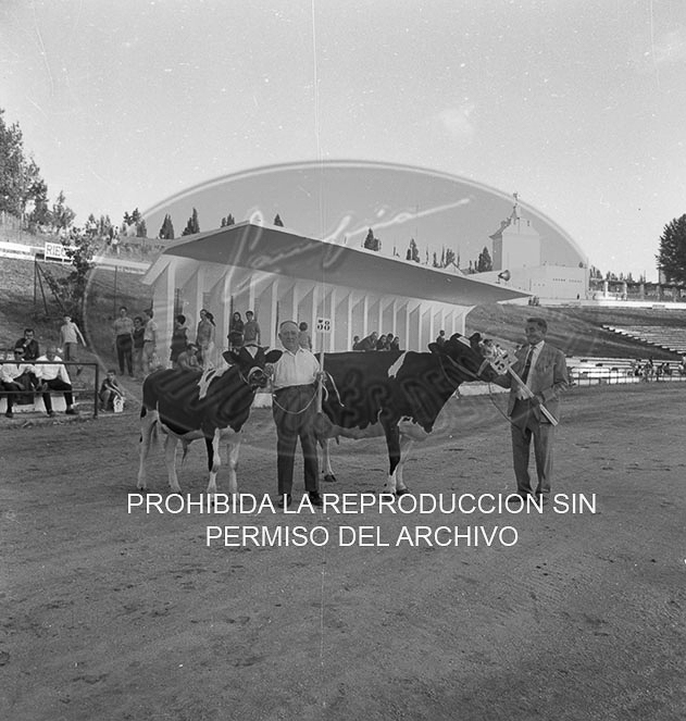 Feria del Campo 1968