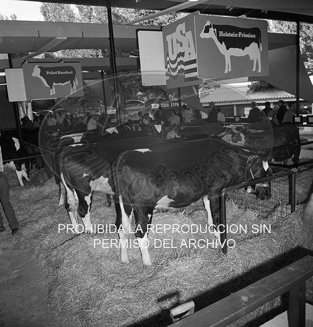 Feria del Campo 1968