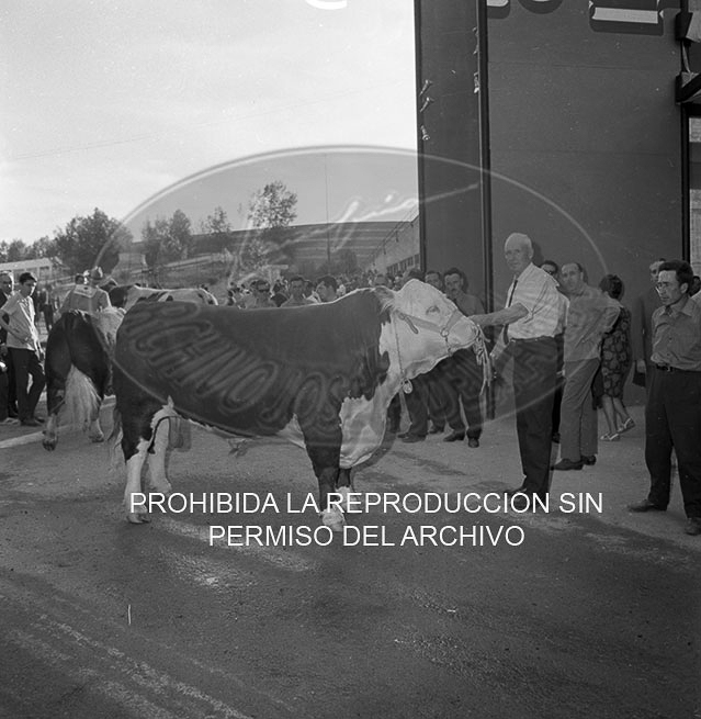 Feria del Campo 1968