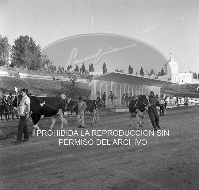 Feria del Campo 1968