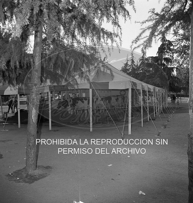 Feria del Campo 1968
