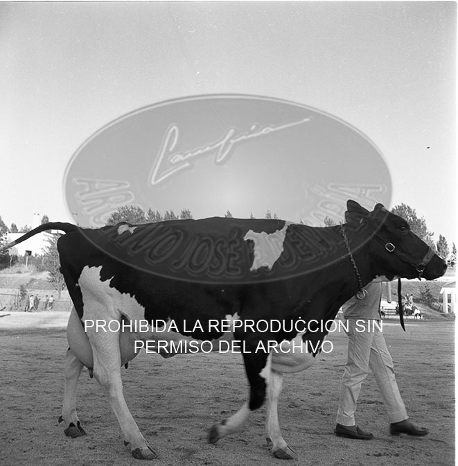 Feria del Campo 1968