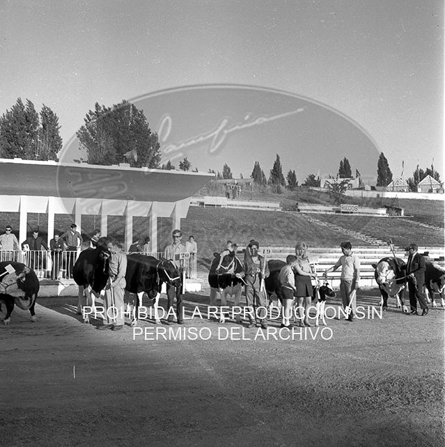 Feria del Campo 1968