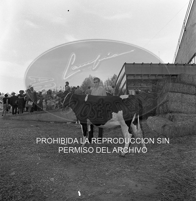 Feria del Campo 1968
