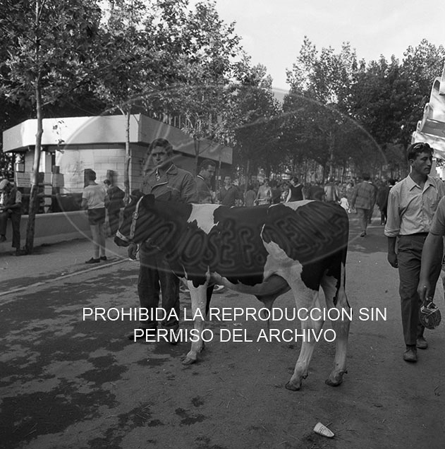 Feria del Campo 1968