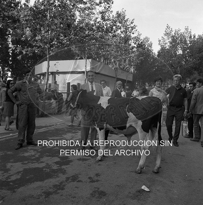 Feria del Campo 1968