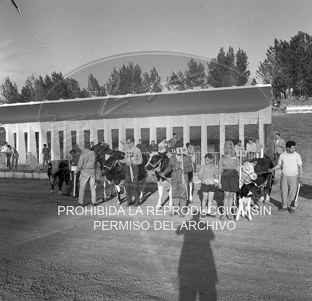 Feria del Campo 1968