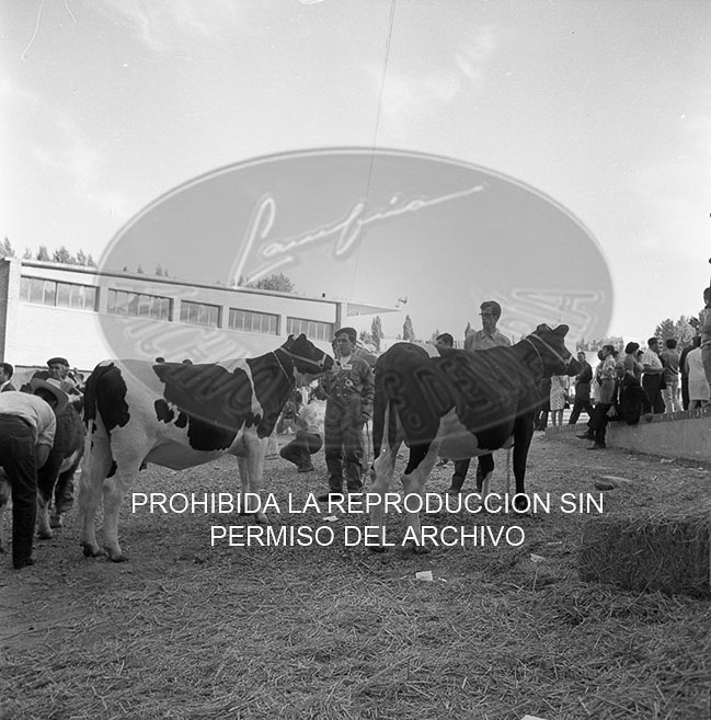 Feria del Campo 1968