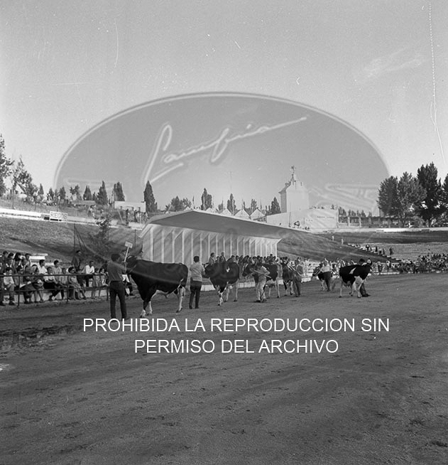 Feria del Campo 1968