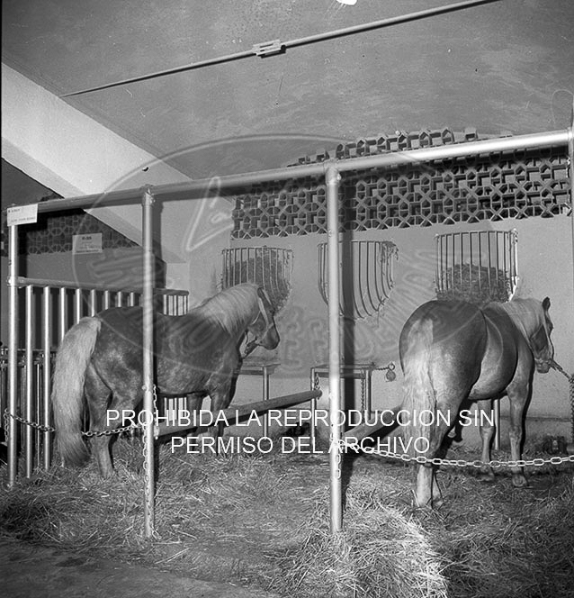 Feria del Campo 1968