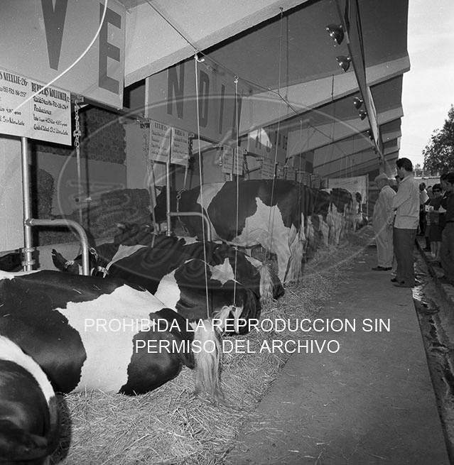 Feria del Campo 1968