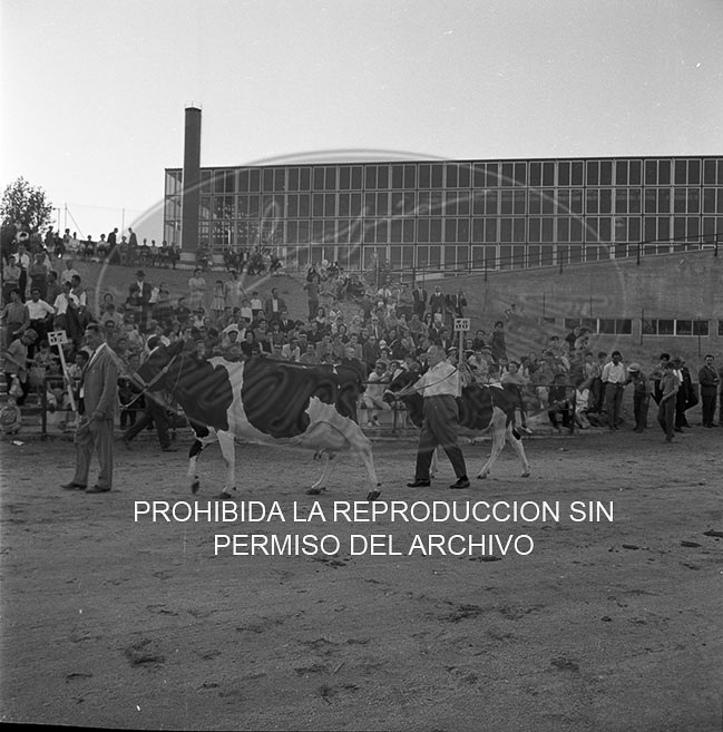Feria del Campo 1968
