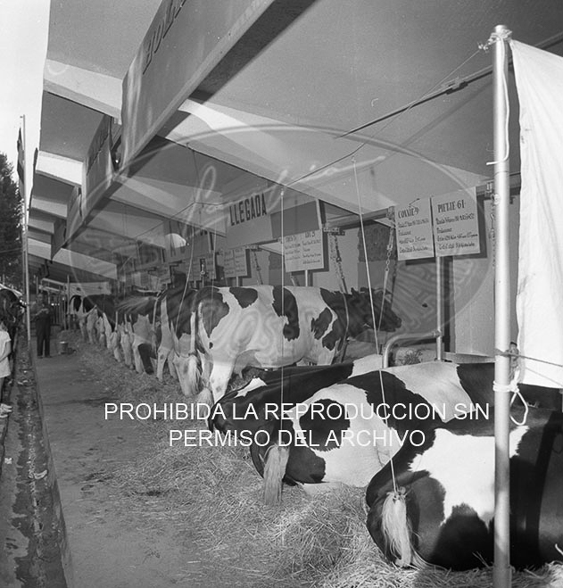 Feria del Campo 1968