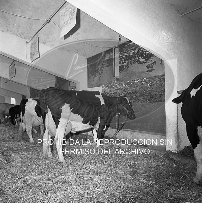 Feria del Campo 1968