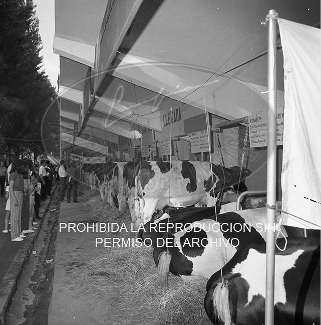 Feria del Campo 1968