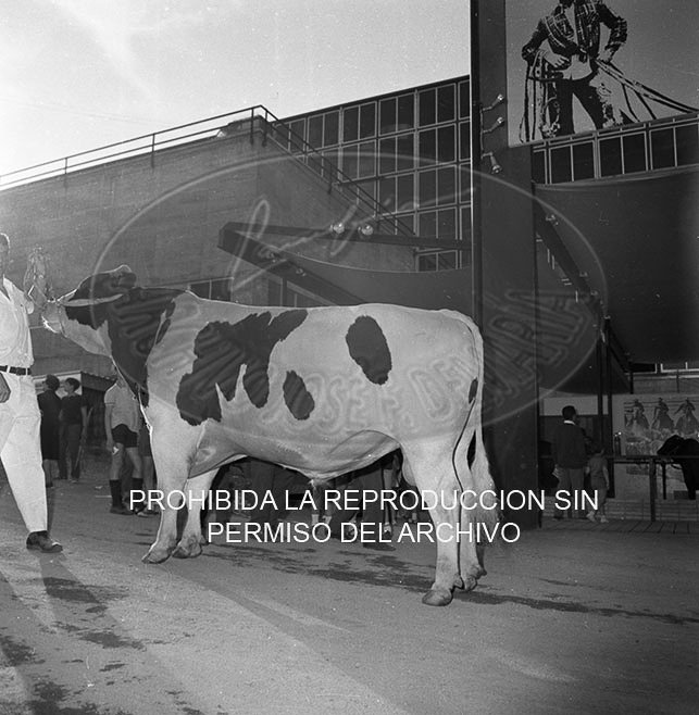 Feria del Campo 1968