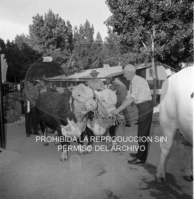 Feria del Campo 1968